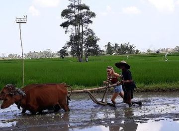 indonesia/bali/attraction/taman-anyar-traditional-balinese-house