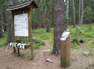 czechia/sumava-national-park/attraction/mravenci-stezka-areal-lesnich-her-srni