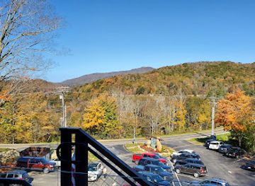 north-carolina/grandfather-mountain/attraction/wilderness-run-alpine-coaster