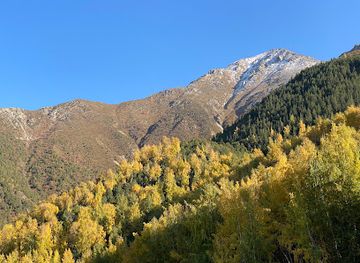 kyrgyzstan/ala-archa-national-park/attraction/birch-grove
