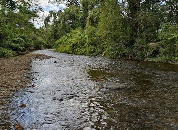 honduras/rio-platano-biosphere-reserve/attraction/area-protegida-pueblo-nuevo-subirana