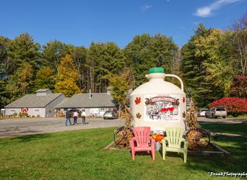 vermont/windsor-county/attraction/new-england-maple-museum