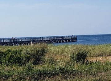 new-york/montauk/attraction/hither-woods-preserve