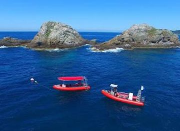 australia/byron-bay/attraction/byron-bay-dive-centre