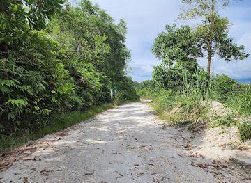 thailand/ranong/attraction/china-clay-mining