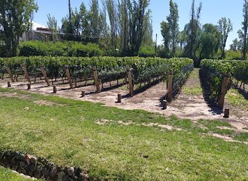 argentina/mendoza/chacras-de-coria/attraction/clos-de-chacras-bodega-y-restaurante