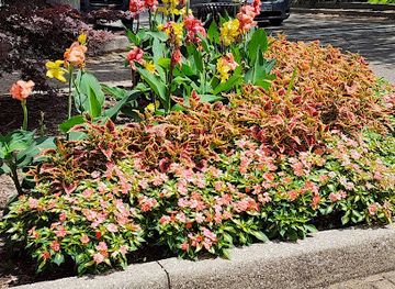 michigan/holland/attraction/holland-michigan-49423