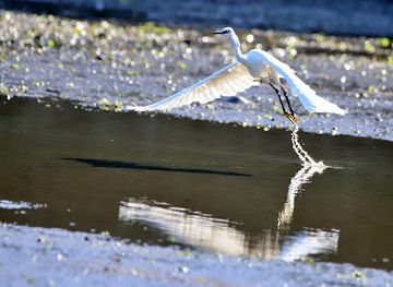 portugal/peniche/attraction/plataforma