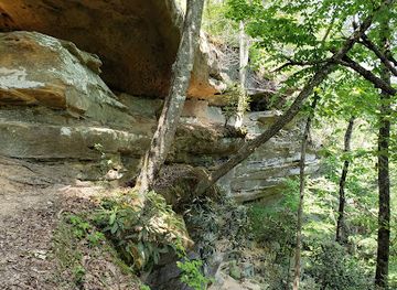 kentucky/red-river-gorge-geological-area/attraction/princess-arch-trailhead