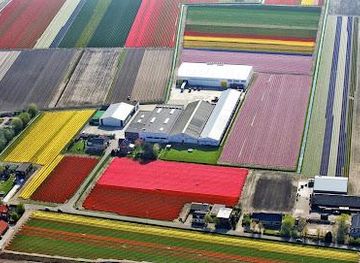 netherlands/amsterdam/attraction/ruigrok-flowerbulbs