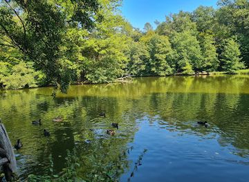 germany/spessart/attraction/spessartweg-1