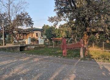 myanmar-burma/kachin-state/attraction/hukaung-valley-tiger-reserve