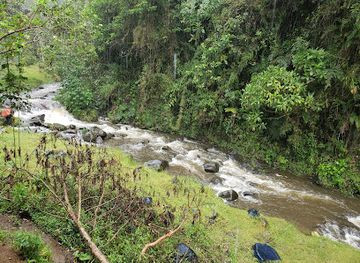 ecuador/sucumbios-region/attraction/pacha-quindi-nature-refuge