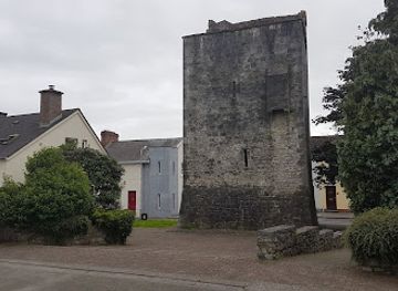 ireland/county-kilkenny/attraction/maudlin-castle
