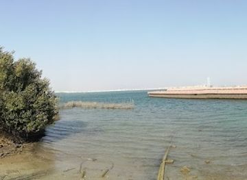 bahrain/muharraq/attraction/dolphin-resort-bahrain