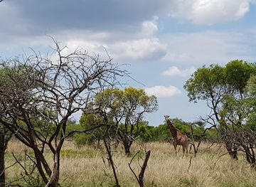 south-africa/waterberg/attraction/combretum-park