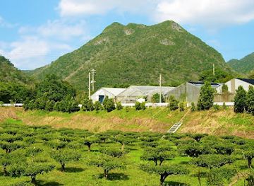 japan/awa/attraction/mt-awa