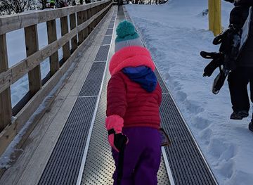 illinois/rockford/attraction/alpine-hills-adventure-park