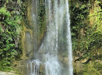 philippines/central-visayas/attraction/camugao-falls