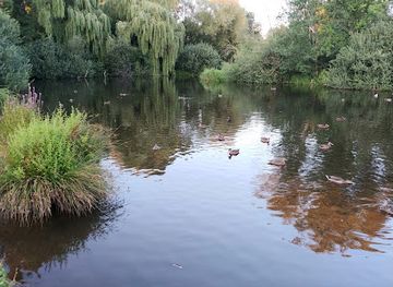 netherlands/eindhoven/attraction/duck-feeding-spot