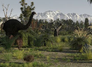 new-zealand/queenstown/attraction/time-tripper-queenstown