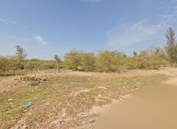 senegal/sine-saloum-delta/attraction/plage-joal