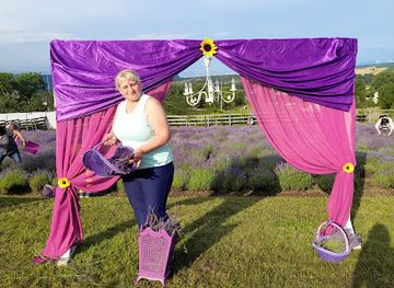 romania/deva/attraction/lavandaria