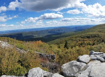 west-virginia/monongahela-national-forest/attraction/bear-rocks-preserve