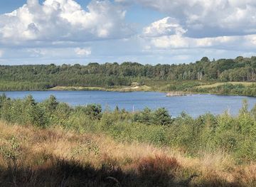 belgium/hoge-kempen-national-park/attraction/vallei-van-de-kikbeekbron