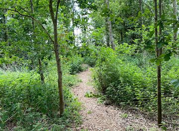 netherlands/delfland/attraction/voedselbos-maasland