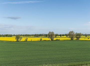 poland/zulawy/attraction/krajobraz-zulaw