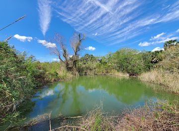 mexico/tamaulipas-coast/attraction/sabal-palm-sanctuary