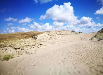 lithuania/klaipeda/attraction/nagliai-nature-reserve