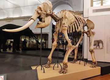 italy/turin/attraction/museo-regionale-di-scienze-naturali