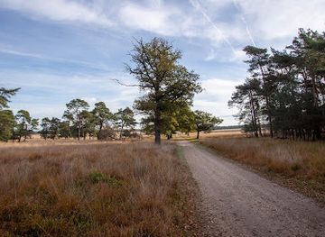 netherlands/veluwe/attraction/deelerwoud
