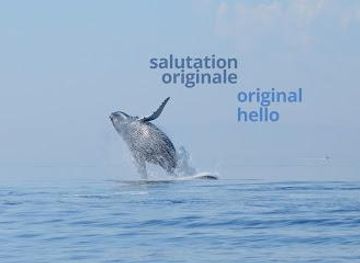 canada/quebec-city/attraction/centre-infotouriste-de-quebec