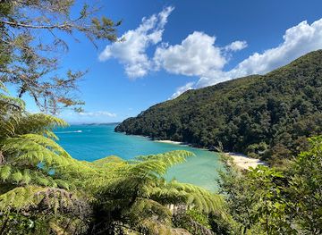 new-zealand/abel-tasman-national-park/attraction/abel-tasman-coast-track