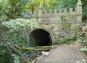 united-kingdom/gloucestershire/attraction/siccaridge-wood