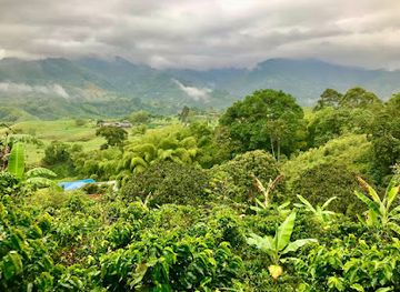 colombia/coffee-axis/attraction/finca-el-jazmin