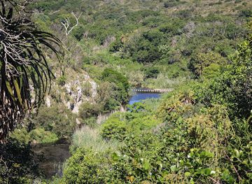 south-africa/port-elizabeth/attraction/lower-guinea-fowl-trail