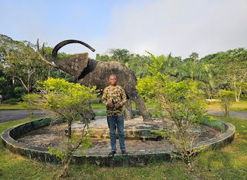 nigeria/calabar/attraction/cross-river-national-park-oban-sector