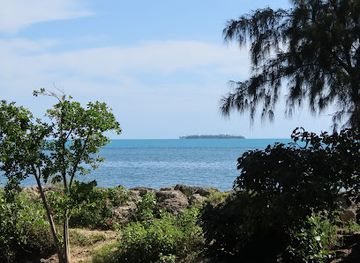 tonga/kolovai/attraction/turtle-sanctuary