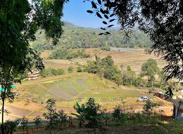 thailand/doi-inthanon/attraction/terrace-fields-on-a-hike