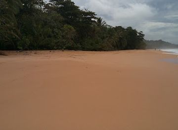 panama/pacific-coast/attraction/playa-bluff