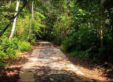 sri-lanka/hikkaduwa/attraction/sinharaja-rain-forest-waddagala-kalawana