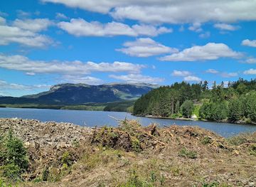 norway/vestfold-og-telemark/attraction/bolkesjo-gaard