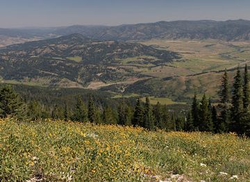 montana/gallatin-national-forest/attraction/chestnut-mountain-trailhead