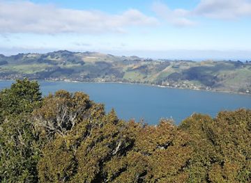 new-zealand/otago/attraction/signal-hill-lookout