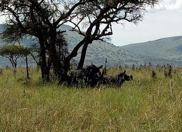 kenya/lake-victoria/attraction/ruma-national-park