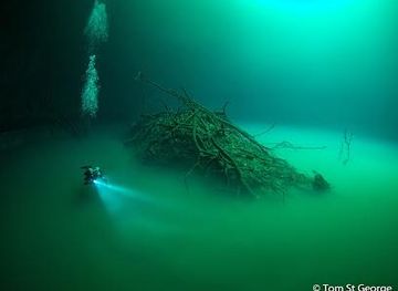 mexico/tulum/attraction/la-calypso-dive-center